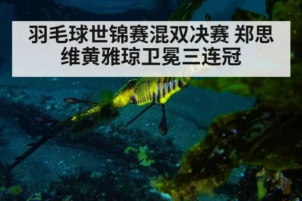 羽毛球世锦赛混双决赛 郑思维黄雅琼卫冕三连冠